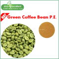 Green coffee bean extract powder